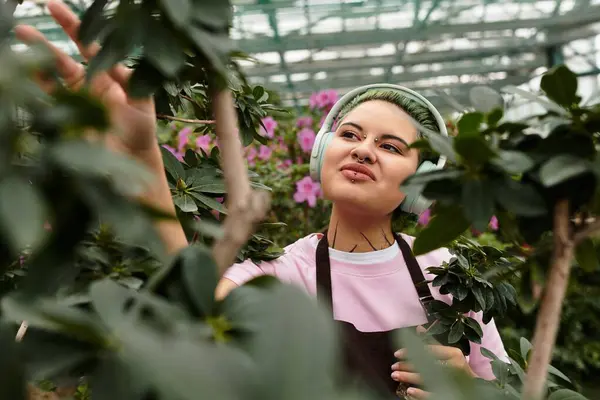 A young woman tends to plants in a vibrant greenhouse filled with colorful flowers. — Stock Photo