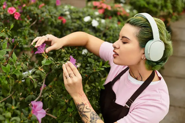 Engaged in nurturing colorful plants, a young woman enjoys her time in a bright greenhouse. — Stock Photo