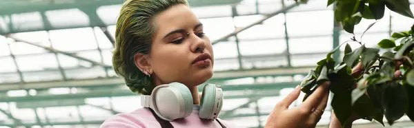 In a vibrant greenhouse, a young woman carefully examines green leaves while listening to music. — Stock Photo