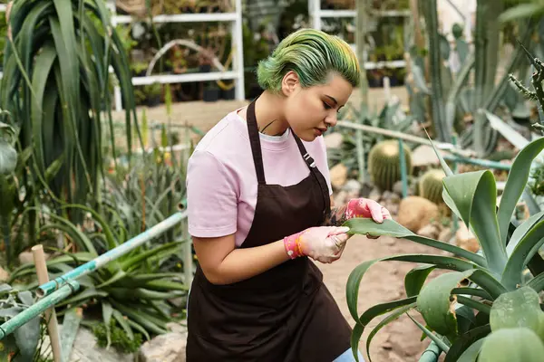 Une femme aux cheveux verts inspecte une feuille succulente dans une serre vibrante. — Photo de stock