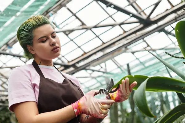 Dans une serre, une jeune femme taille une plante tout en se concentrant sur ses tâches de jardinage. — Photo de stock