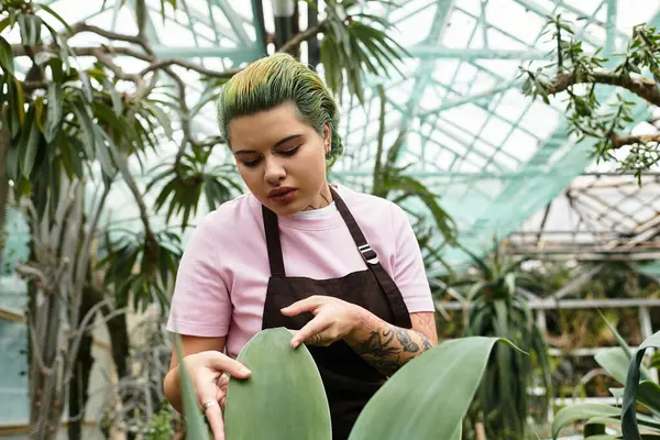 Uma mulher nova tende às folhas grandes em uma estufa iluminada do sol enchida com plantas diversas. — Fotografia de Stock
