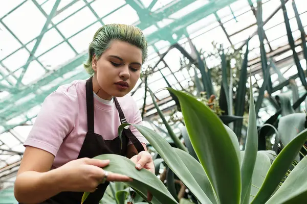 Mujer joven enfocada cuidando cuidadosamente de plantas verdes exuberantes en un ambiente de vivero interior - foto de stock