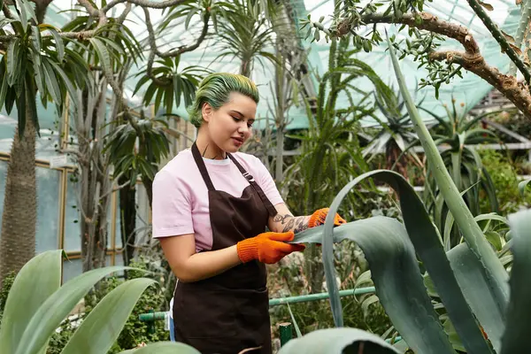 Focused on nurturing plants, the young woman carefully inspects leaves in a green haven. — Stock Photo