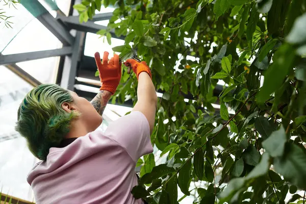 In a green house, a young woman lovingly cares for plants, showing her gardening passion. — Stock Photo