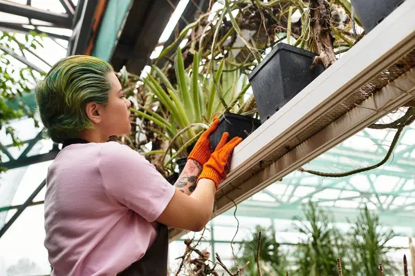 In a lively greenhouse, a young woman carefully tends to potted plants, showing her skills. — Stock Photo