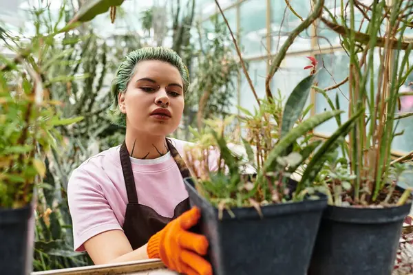 A dedicated young woman carefully arranges potted plants in her lush greenhouse workspace. — Stock Photo