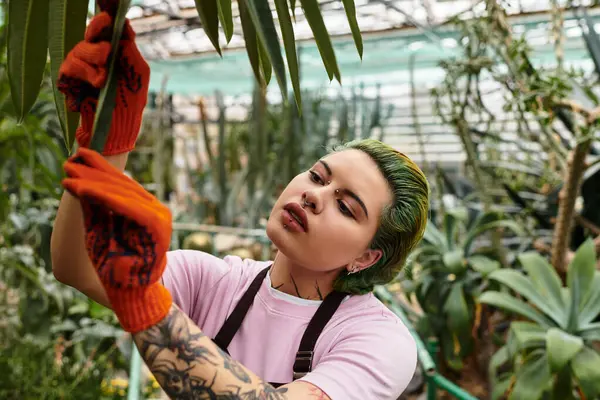 Mujer joven que atiende cuidadosamente a las plantas en un colorido invernadero lleno de vegetación. - foto de stock