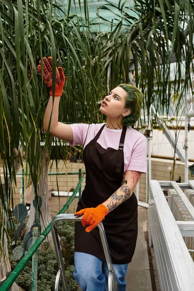 A young woman passionately gardens among lush plants in a greenhouse. — Stock Photo