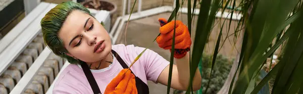 Una mujer brillante en un invernadero recorta cuidadosamente las plantas, centrada en sus tareas de jardinería. - foto de stock