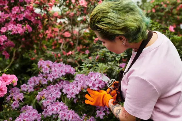 Una joven recorta hermosas flores moradas en un invernadero, disfrutando de su trabajo. - foto de stock