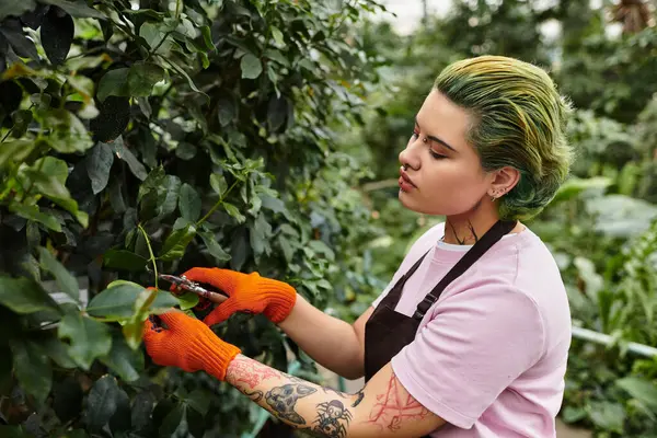 A young woman tends to thriving plants while wearing bright gardening gloves. — Stock Photo