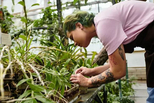 In a lively greenhouse, a young woman lovingly tends to plants, promoting their health and growth. — Stock Photo