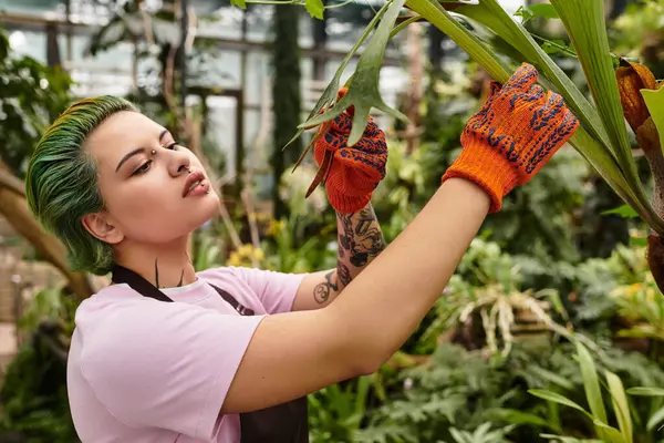 En un invernadero vibrante, una joven con guantes coloridos poda cuidadosamente las plantas. - foto de stock