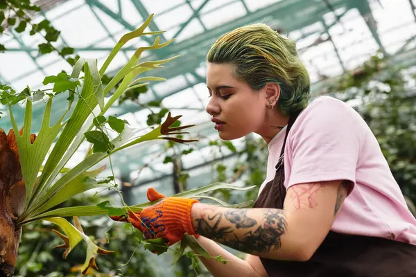 A dedicated young woman tends to lush plants in a greenhouse with careful attention. — Stock Photo