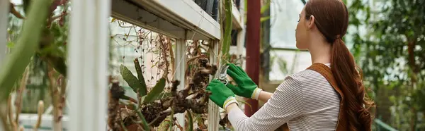 En un exuberante invernadero, una joven tiende cariñosamente a las plantas, mostrando su espíritu nutritivo. — Stock Photo