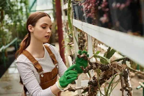 A young woman in gloves tends to plants in a vibrant, green greenhouse. — Stock Photo
