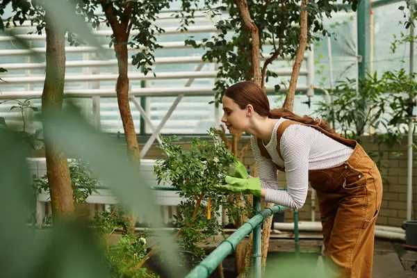 A beautiful young woman leans close to examine vibrant greenery in a sunny greenhouse. — Stock Photo