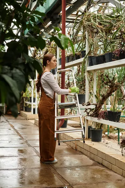 A young woman tends to plants in a lush greenhouse filled with greenery and light. — Stock Photo