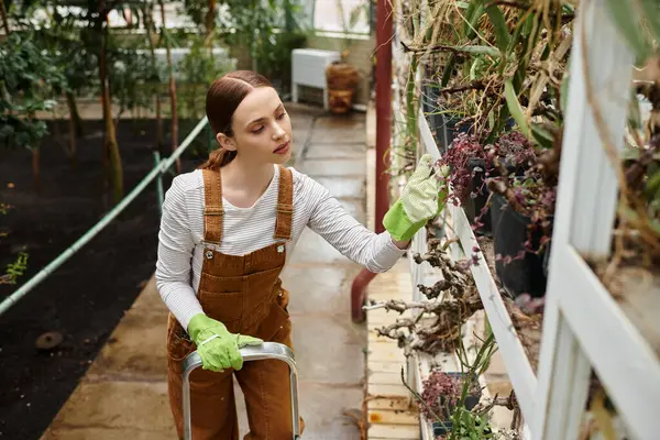 Young woman carefully caring for potted plants in a lush greenhouse filled with greenery — Stock Photo