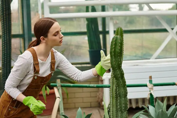 In una lussureggiante serra, una giovane donna amorevolmente tende a un cactus mentre indossa guanti da giardinaggio.. — Foto stock