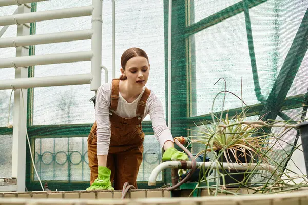 Beautiful woman tends to plants with care while surrounded by lush greenery in the greenhouse. — Stock Photo
