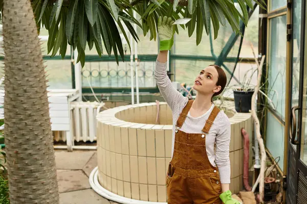 Sunlight streams through the glass, lighting a woman tending her plants in a greenhouse. — Stock Photo