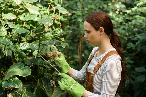 Woman in green gloves tending plants in a sunlit greenhouse full of greenery. — Stock Photo