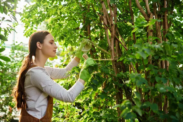 In a bright greenhouse, a young woman nurtures thriving plants, proving her green thumb. — Stock Photo