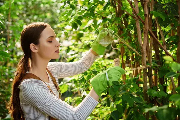 In a bright greenhouse, a young woman joyfully tends to plants in her gardening gloves. — Stock Photo
