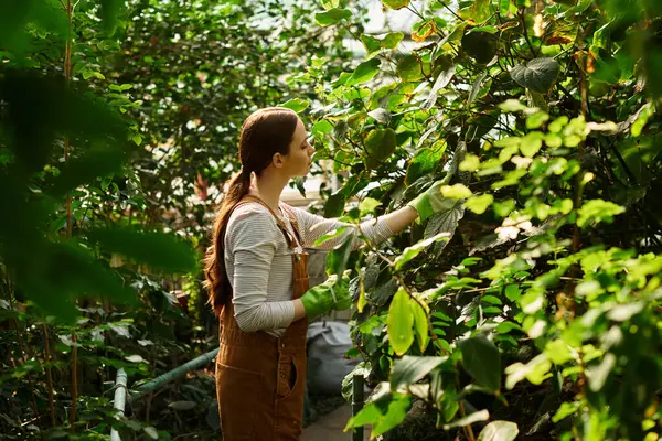 In a peaceful greenhouse, a young woman tends to thriving plants amid lush greenery. — Stock Photo