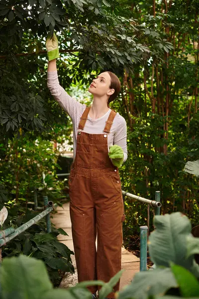 A young woman in overalls gently cares for lush plants in a lively greenhouse filled with nature. — Stock Photo