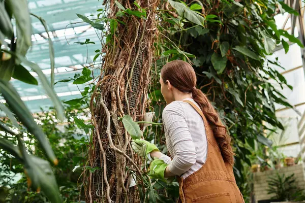 Young woman in a greenhouse passionately tending to plants amid vibrant foliage. — Stock Photo