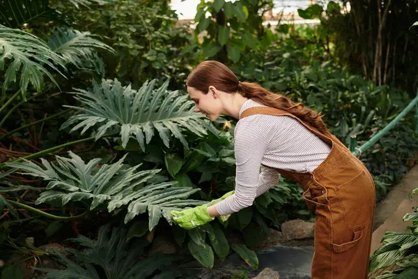In a lively greenhouse, a young woman tends to lush plants, savoring the serene atmosphere. — Stock Photo