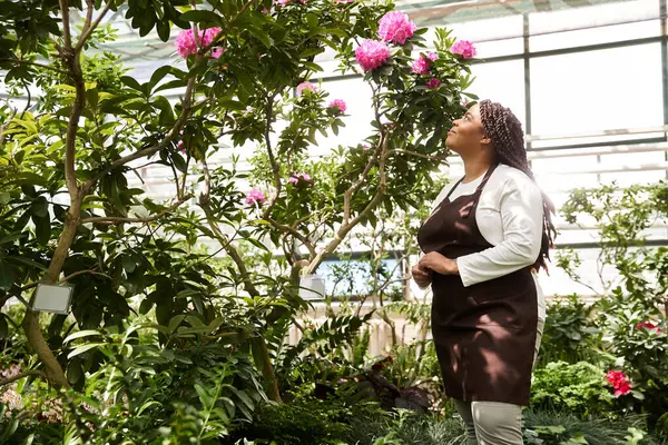 Uma mulher afro-americana com cabelo trançado desfruta da beleza de flores florescentes enquanto jardinagem. — Fotografia de Stock