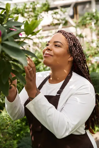 An African American woman with braids lovingly tends to greenery inside a lively greenhouse. — Stock Photo