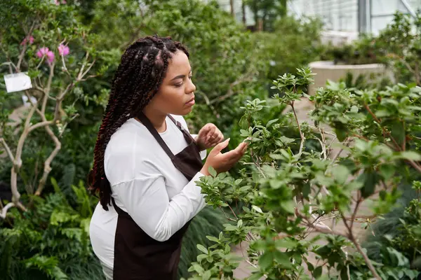 A Black woman with braids nurtures plants in a vibrant greenhouse, showing her love for gardening. — Stock Photo