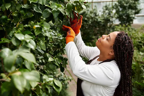 An African American woman with braids tends to lush greenery in a warm greenhouse, enjoying nature. — Stock Photo