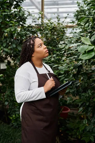 A dedicated gardener examines thriving plants in a bright greenhouse, taking notes thoughtfully. — Stock Photo