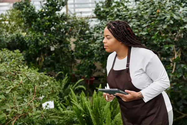 An African American woman with braids inspects the foliage in a thriving greenhouse. — Stock Photo