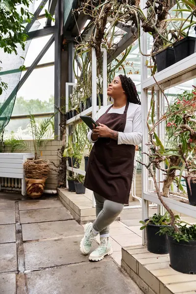 Black woman with braids cares for plants in a bright greenhouse, celebrating nature's beauty. — Stock Photo