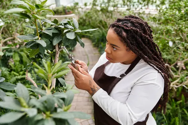 A Black woman with braids trims plants in a verdant greenhouse. — Stock Photo