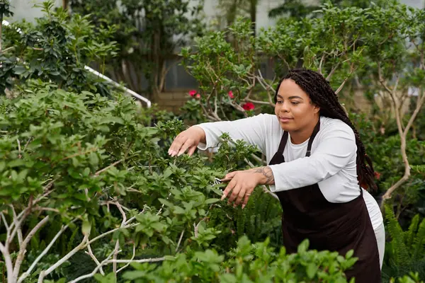 An African American woman with braids cares for vibrant plants in a lush greenhouse setting. — Stock Photo
