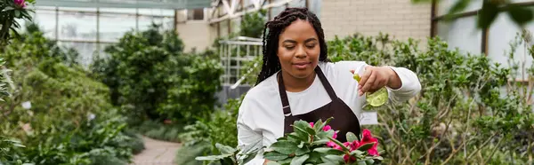 An african american woman with braids carefully arranges blooming plants in a greenhouse, banner — Stock Photo