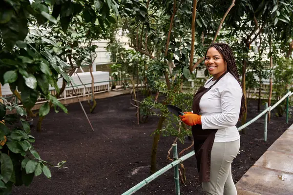 Une femme afro-américaine avec des tresses tend joyeusement à planter dans une serre luxuriante. — Photo de stock