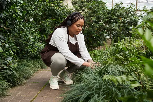 An african american woman with braids enjoys tending to lush greenery in a greenhouse. — Stock Photo