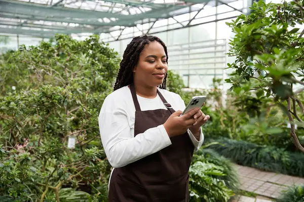 An African American woman with braids smiles while checking her phone in a lush greenhouse. — Stock Photo