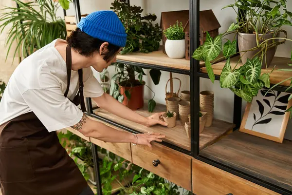 A young man carefully transplants vibrant plants into containers on wooden shelves. — Stock Photo
