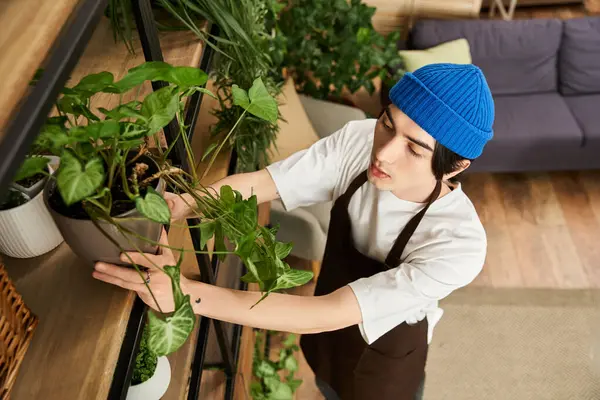 Guapo joven cuidadosamente transplantando plantas vibrantes en un acogedor estudio. - foto de stock