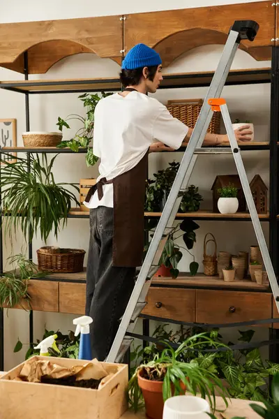 Young man works diligently in a studio, transplanting plants and arranging greenery on shelves. — Stock Photo